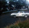 FULVIA~1.jpg (29725 byte)