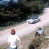 FULVIA~2.jpg (33108 byte)