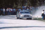 037 Totip 5-84.jpg (40835 byte)
