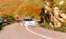 Cunico 2.jpg (96879 byte)