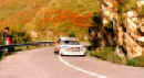 Sainz 1.jpg (67580 byte)