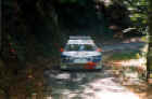 Peugeot Panizzi.jpg (66459 byte)