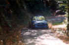 Subaru Liatti-2.jpg (68048 byte)