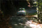 Toyota Sainz-2.jpg (65232 byte)