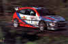 Focus McRae.jpg (53602 byte)