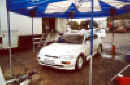 Escort Muletto.jpg (57081 byte)