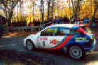 Sainz.jpg (72457 byte)