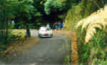 Focus 2 Rezzo.jpg (69334 byte)
