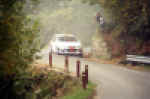 Sainz Rezzo 2.jpg (29716 byte)