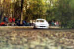 Delecour Teglia.jpg (43404 byte)