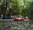 Loeb Teglia 2.jpg (40381 byte)