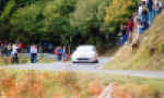 206 Wrc S. Bernardo.jpg (52471 byte)