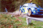 Solberg S. Bernardo.jpg (43766 byte)