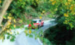 Loeb C. d'Oggia.jpg (101381 byte)