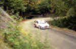 Sainz C. d'Oggia 2.jpg (37143 byte)